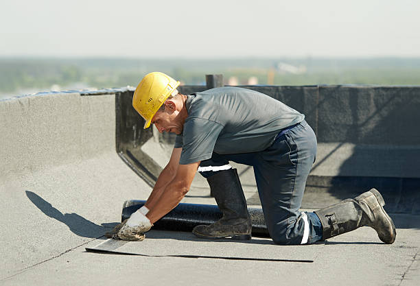 Best Residential Insulation in Comstock Northwest, MI
