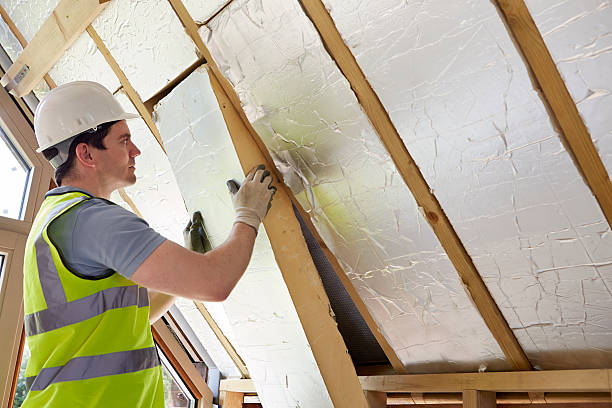 Best Insulation Installation Services in Comstock Northwest, MI